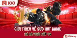 gioi-thieu-ve-suc-hut-game-da-ga-truc-tiep-c4