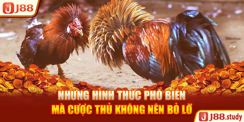 nhung-hinh-thuc-pho-bien-ma-cuoc-thu-khong-nen-bo-lo